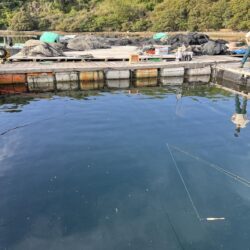 釣り堀水宝🎣