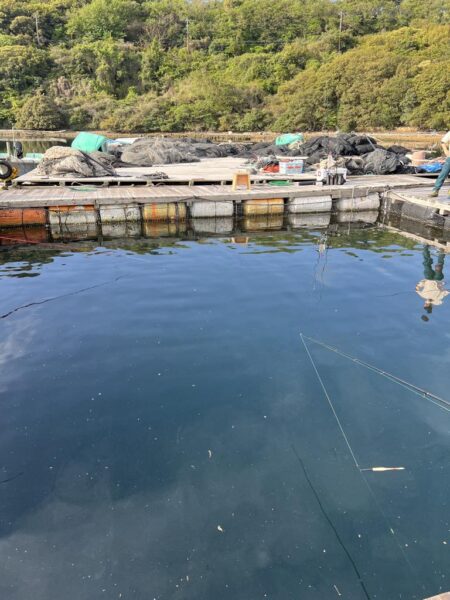 釣り堀水宝🎣