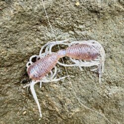 もうアフター💦