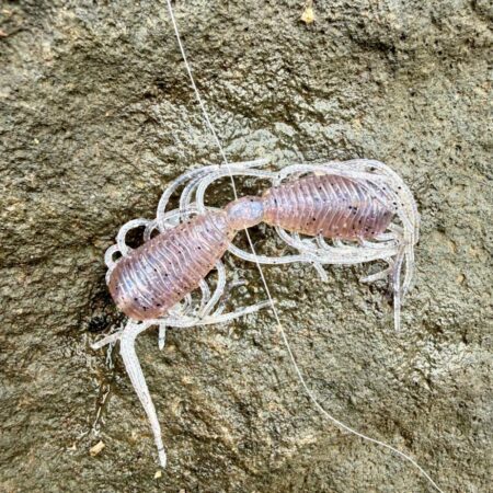 もうアフター💦