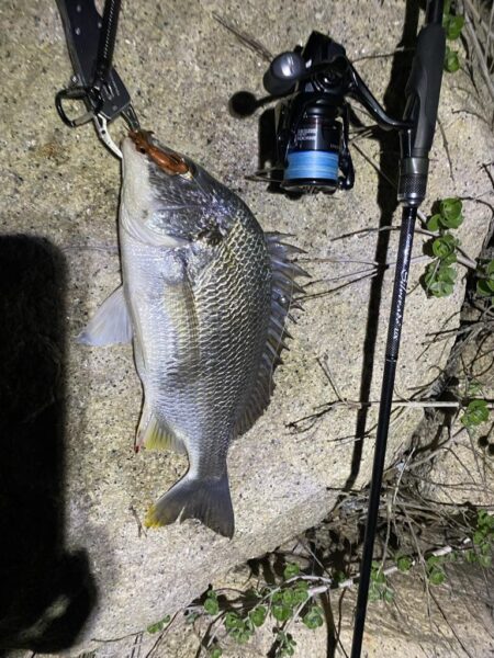 淀川ブリームゲーム