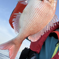 横須賀沖、タイラバ