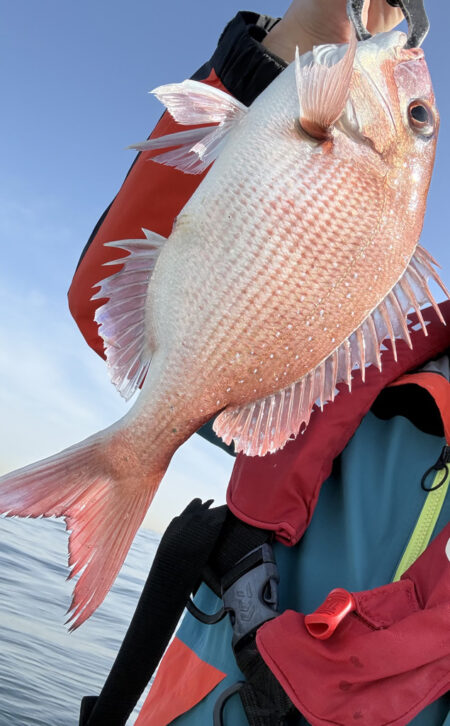 横須賀沖、タイラバ