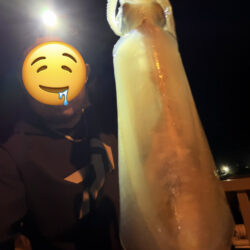 大型狙いエギング