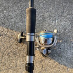 朝マズメのカマス調査で16匹GET