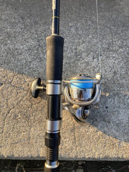 朝マズメのカマス調査で16匹GET