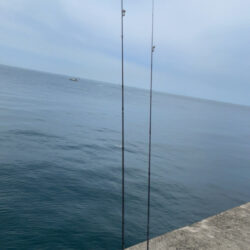 カレイ狙いで・・・