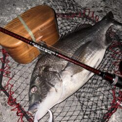 ヘチってきました