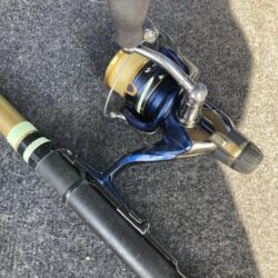 朝のアジ調査で30匹GET