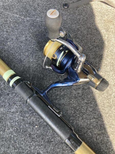 朝のアジ調査で30匹GET