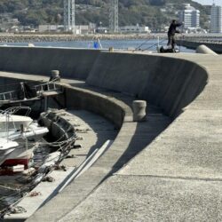 花見カレイ狙い