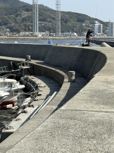 花見カレイ狙い