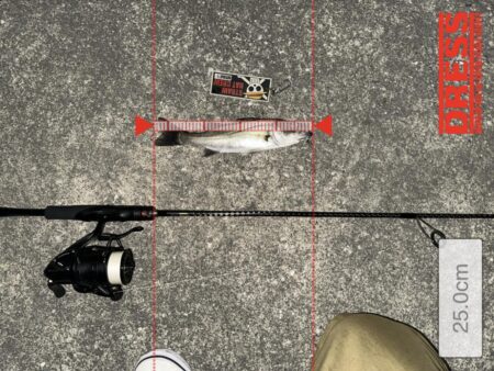 悶絶からの解放