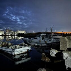 メバル12 ガシラ7