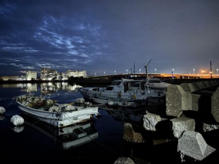 メバル12 ガシラ7