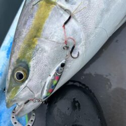 supフィッシング