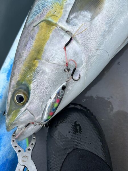 supフィッシング