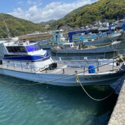 ティップラン連続釣行