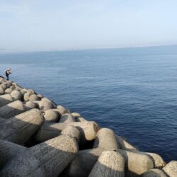 【波止グレ釣り】やっと数が出て来たよ～！