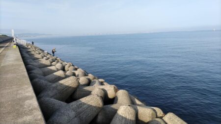 【波止グレ釣り】やっと数が出て来たよ～！