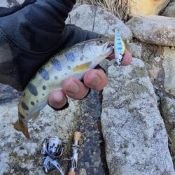 久しぶりの渓流へ