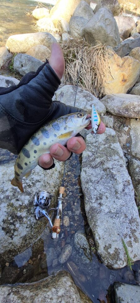 久しぶりの渓流へ