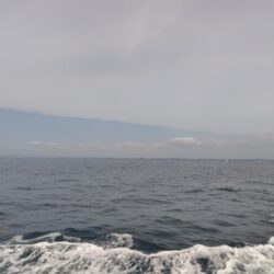 淡路島西側ジギング