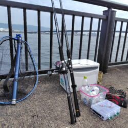 ショアジギ準備