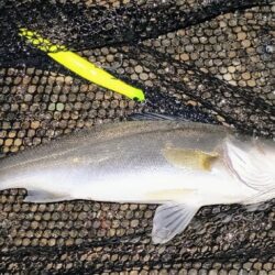 20:10からスイッチOFF⋯