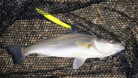 20:10からスイッチOFF⋯