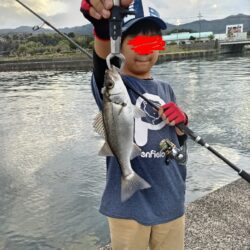 ヒラセイゴ釣れました!