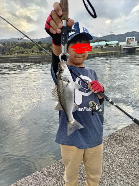 ヒラセイゴ釣れました!