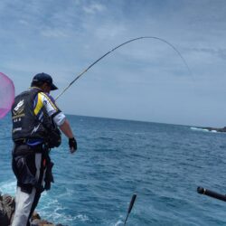 和歌山市江（吉丸渡船）でグレ釣り