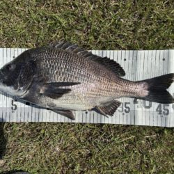 イチノ兄弟、釣果！