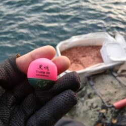 和歌山県日置（三倉渡船）でチヌ釣り大会