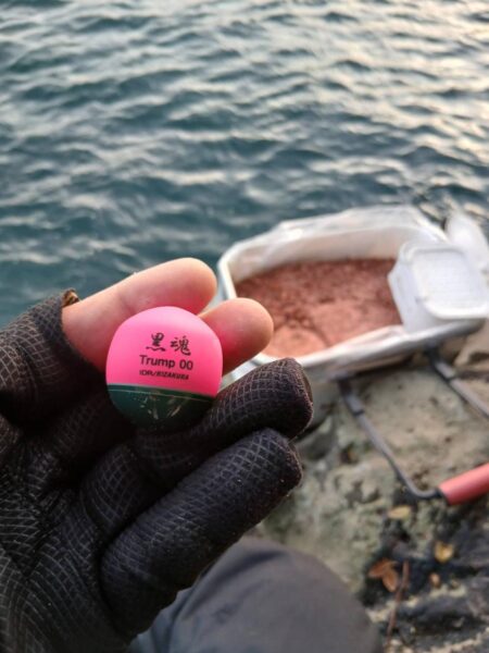 和歌山県日置（三倉渡船）でチヌ釣り大会