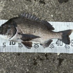 イチノ兄弟、釣果！