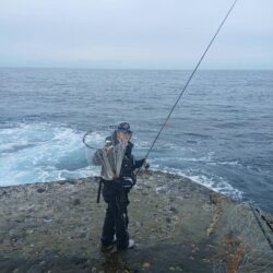 和歌山市江（吉丸渡船）でグレ釣り