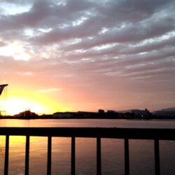 そろそろアジが釣れるかも