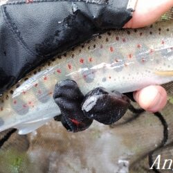 引原本流で良型連発！