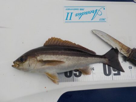 完全フカセ第1戦〜倉丸〜