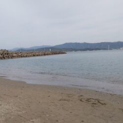 今シーズン初のキス釣り