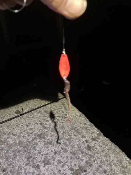 初めての釣り方を試しで…