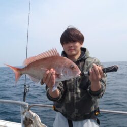 玄界灘の真鯛状況