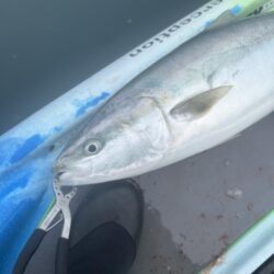 supフィッシング