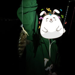 3年ぶりくらいに釣りをしました