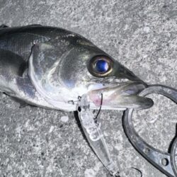 悶絶からの解放