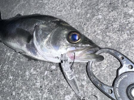 悶絶からの解放