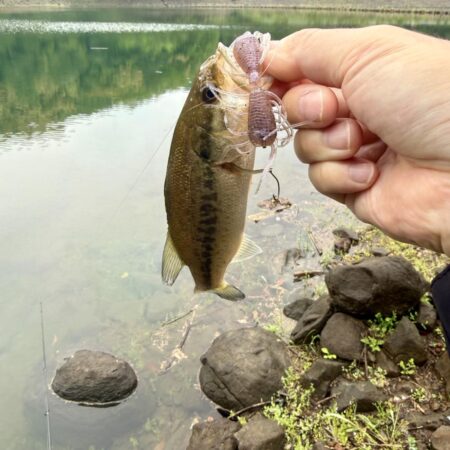 もうアフター💦