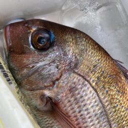 リールトラブルからの